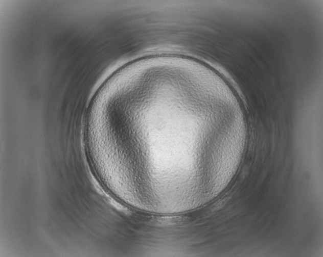 X0000080681390200701051023