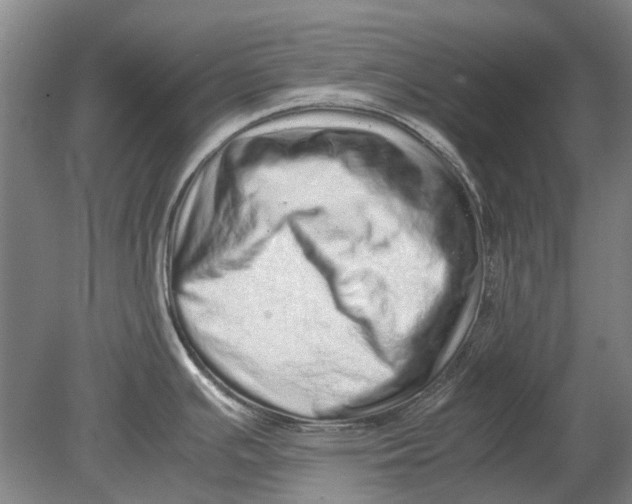 X0000080681391200701051023