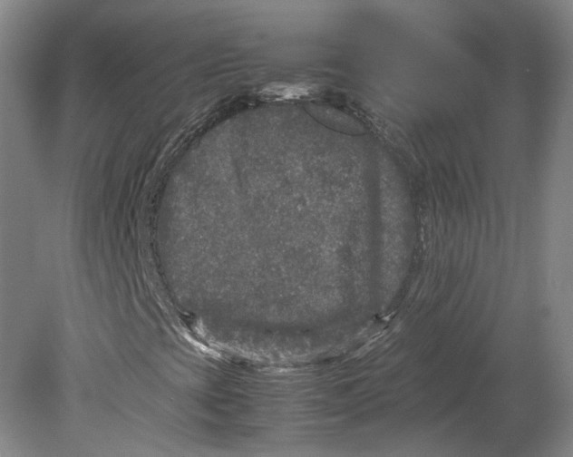 X0000080681393200701051022