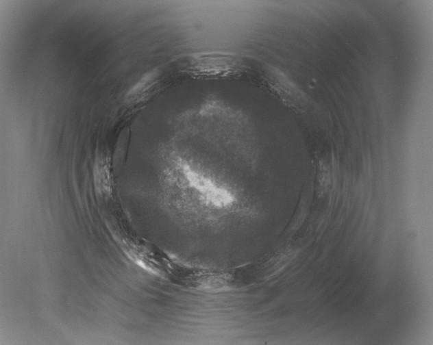 X0000080681394200701051022