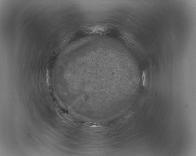 X0000080681395200701051022