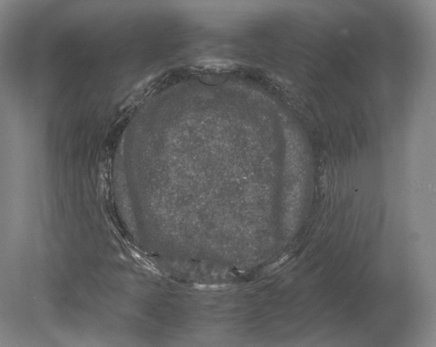 X0000080681397200701051022