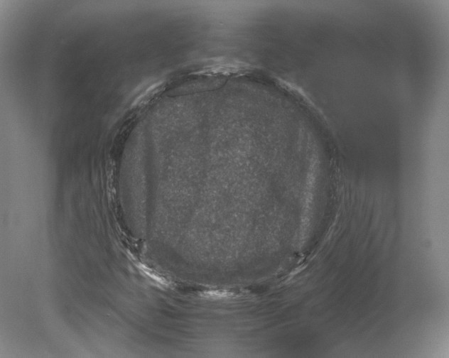 X0000080681399200701051022