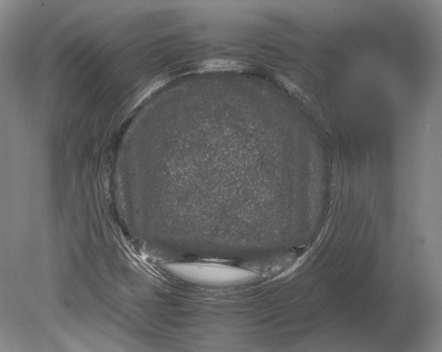 X0000080681401200701051022