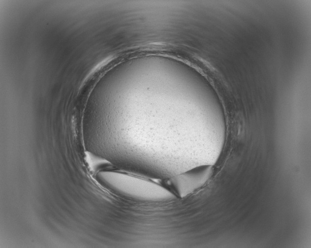 X0000080681402200701051022