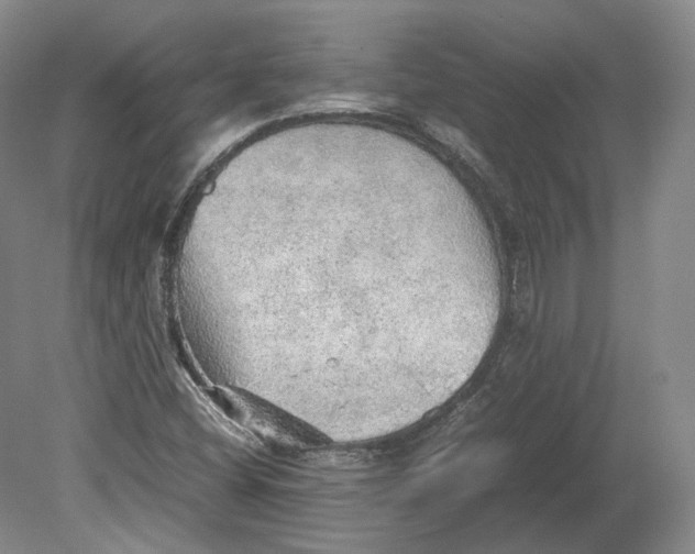 X0000080681404200701051022