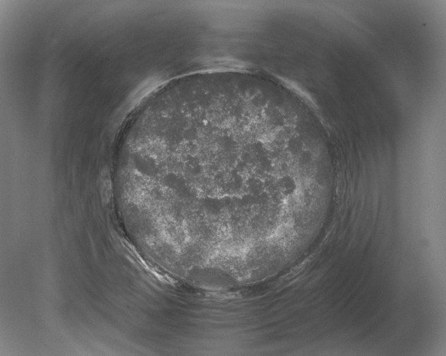 X0000080681407200701051022