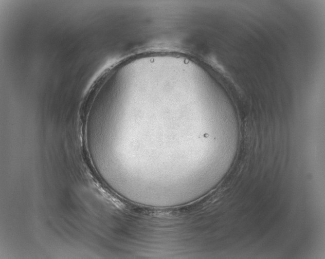 X0000080681408200701051022