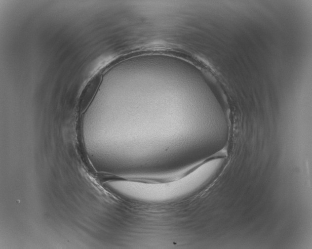 X0000080681410200701051022