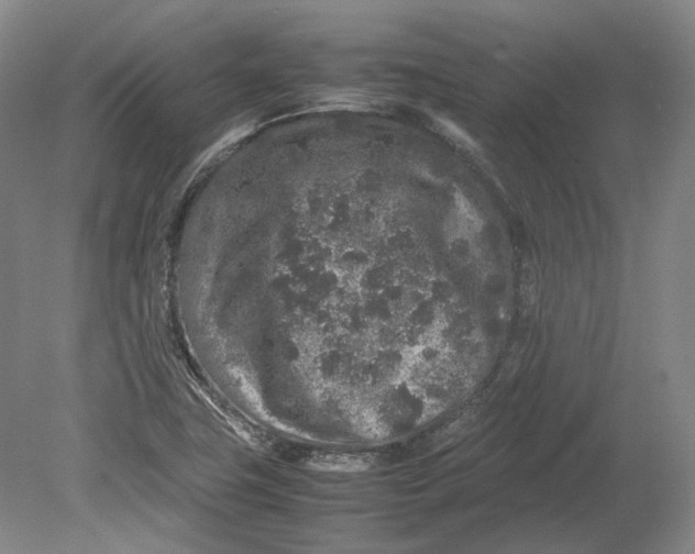 X0000080681411200701051022