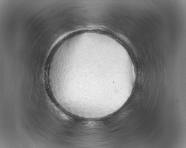 X0000080681412200701051022