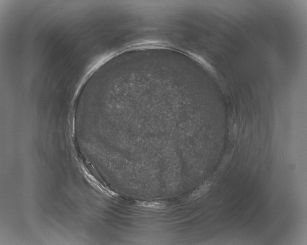 X0000080681413200701051022