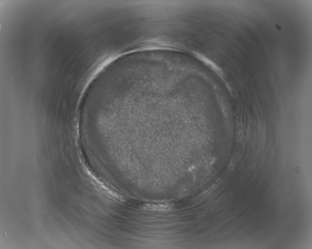 X0000080681415200701051022