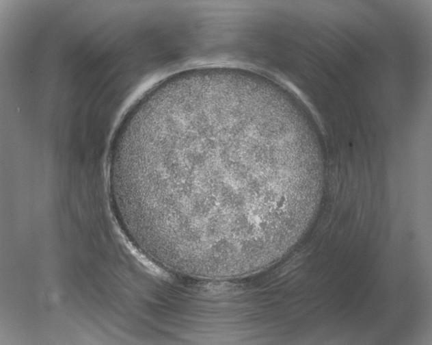 X0000080681416200701051022