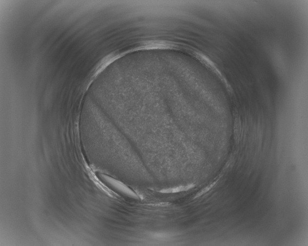 X0000080681417200701051022