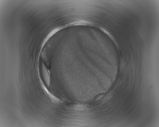 X0000080681418200701051022