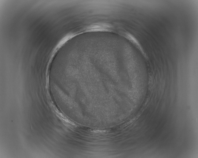 X0000080681419200701051022