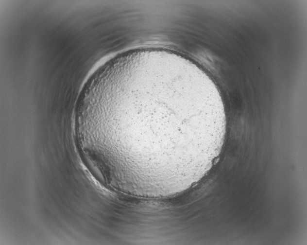 X0000080681420200701051022