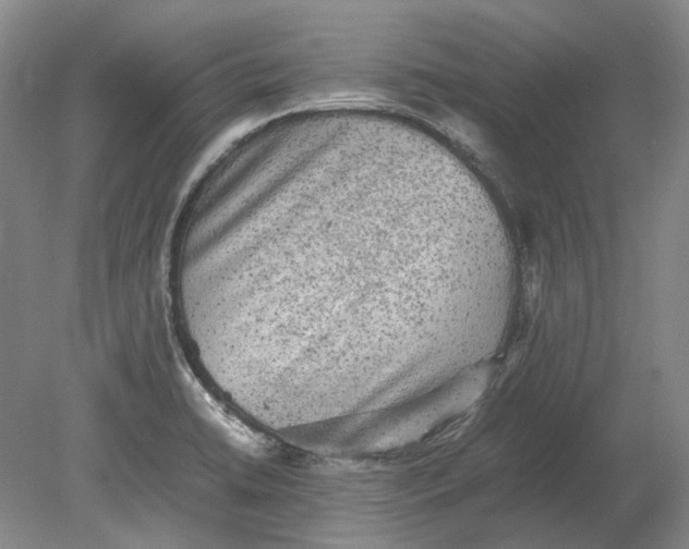 X0000080681422200701051022