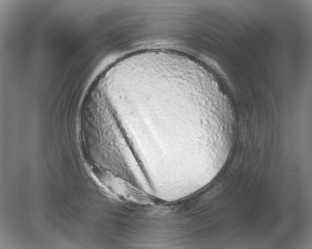 X0000080681424200701051022