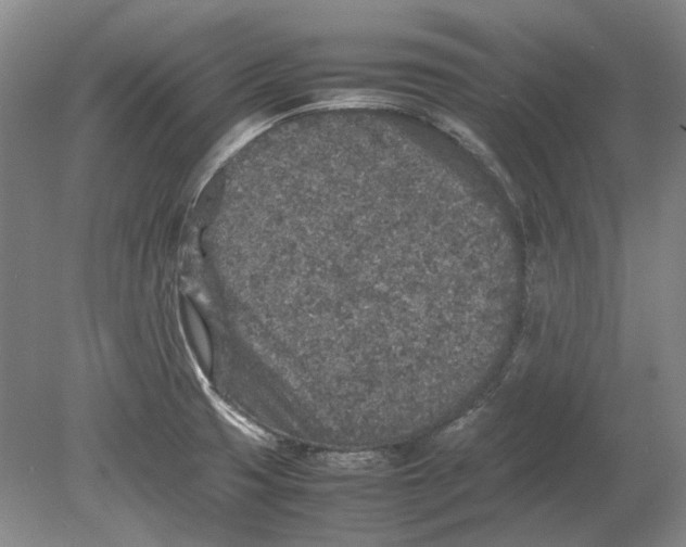 X0000080681425200701051022