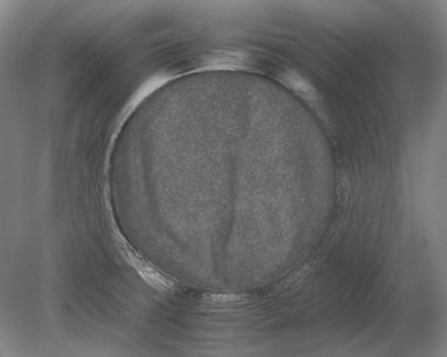 X0000080681427200701051022