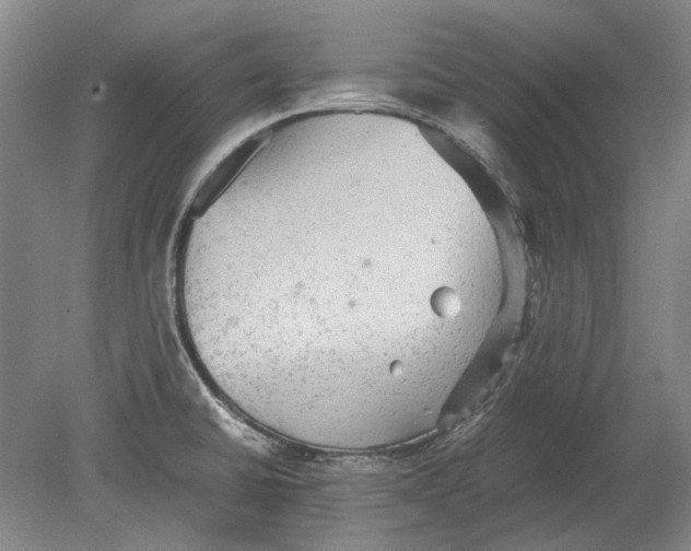 X0000080681430200701051022