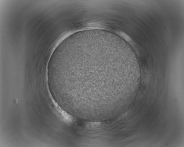 X0000080681431200701051022