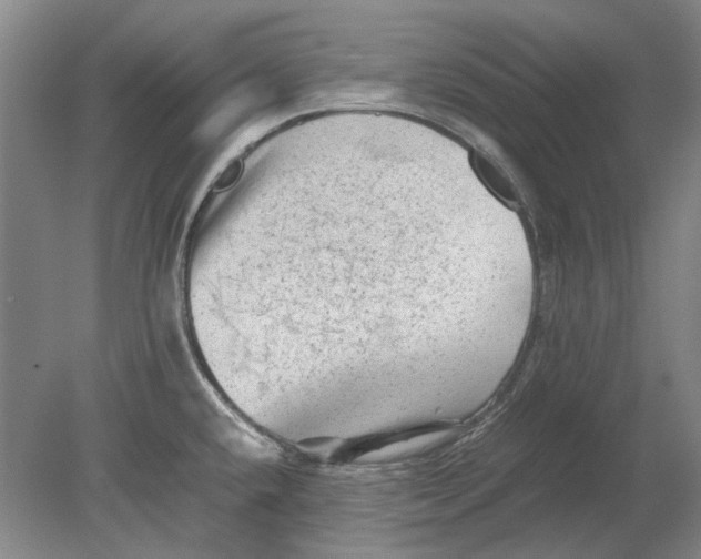 X0000080681432200701051022