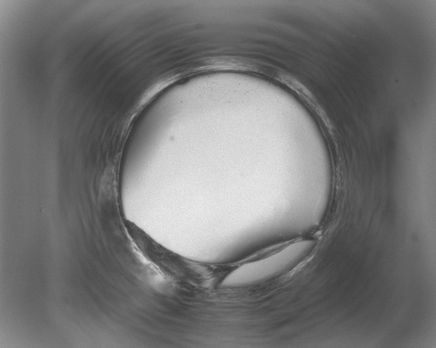 X0000080681433200701051023