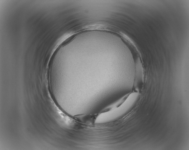 X0000080681434200701051023