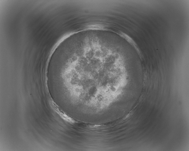 X0000080681435200701051023