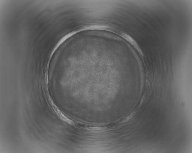 X0000080681436200701051023