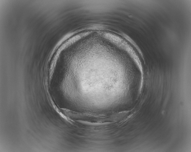 X0000080681437200701051023