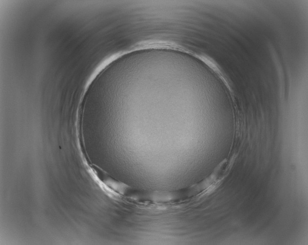 X0000080681438200701051023