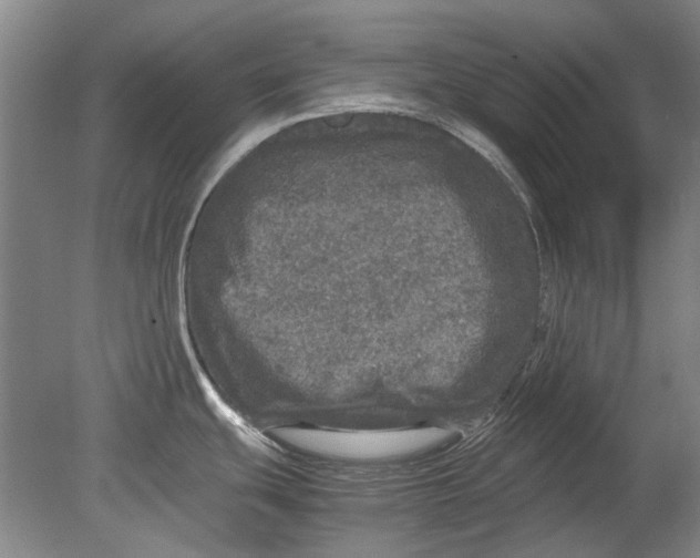 X0000080681439200701051023