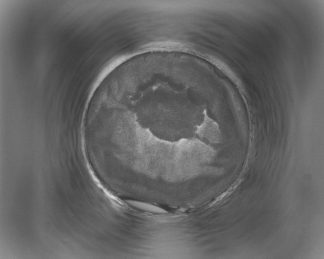 X0000080681440200701051023