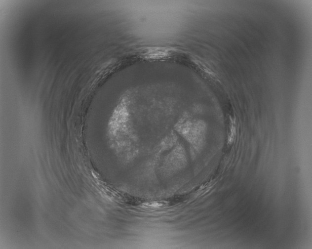 X0000080681441200701051022