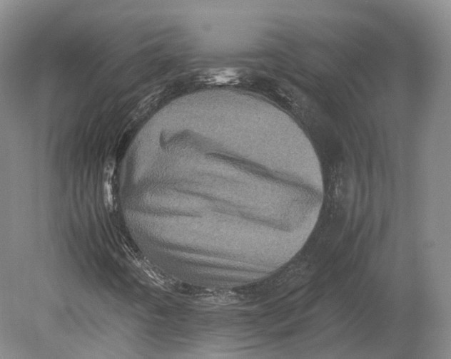 X0000080681442200701051022