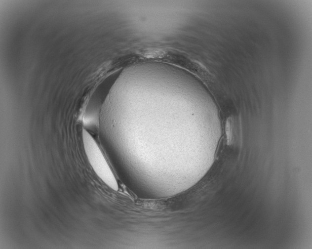 X0000080681443200701051022