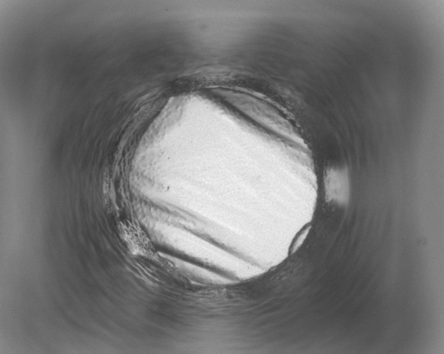 X0000080681444200701051022