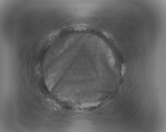 X0000080681445200701051022