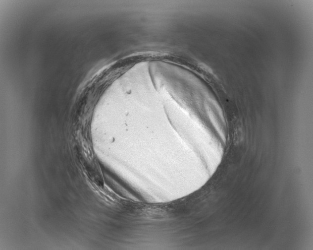 X0000080681448200701051022