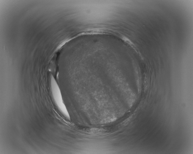 X0000080681449200701051022