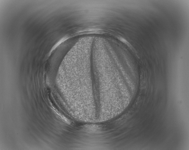 X0000080681450200701051022