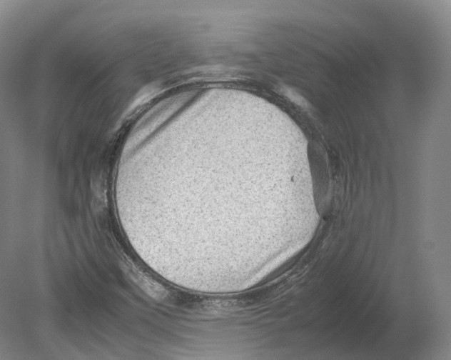 X0000080681451200701051022