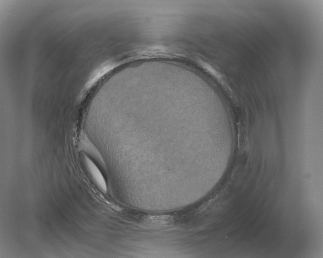 X0000080681453200701051022