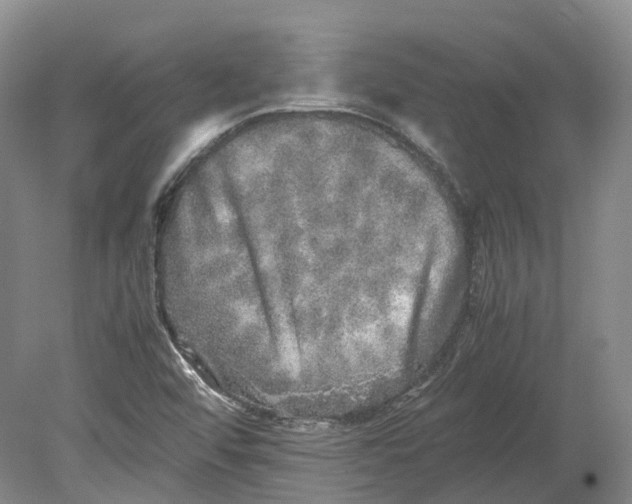 X0000080681456200701051022