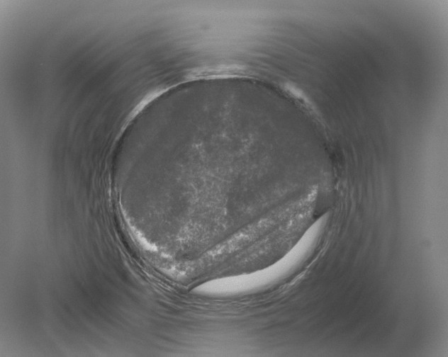 X0000080681457200701051022