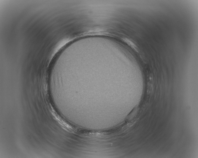 X0000080681458200701051022